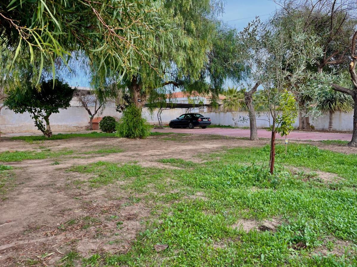 אליקאנטה Estudio Adosado Con Jardin Y Parking Privado מראה חיצוני תמונה