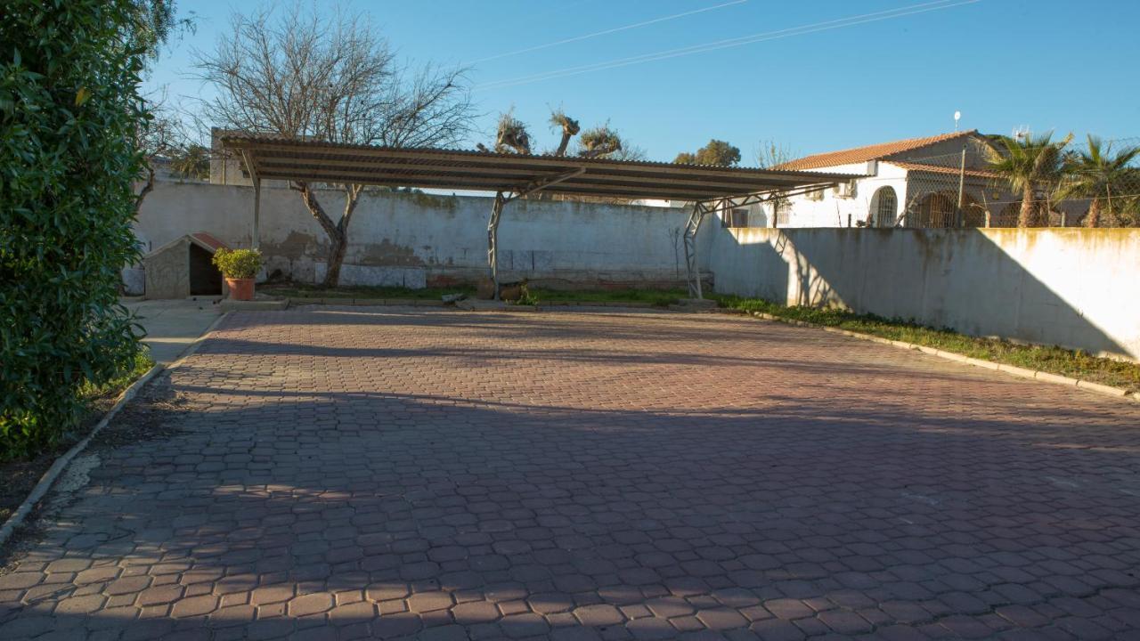 אליקאנטה Estudio Adosado Con Jardin Y Parking Privado מראה חיצוני תמונה