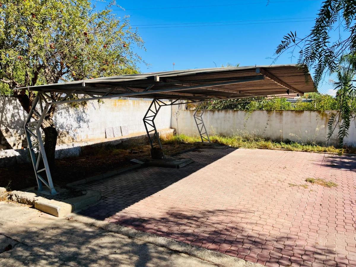 אליקאנטה Estudio Adosado Con Jardin Y Parking Privado מראה חיצוני תמונה