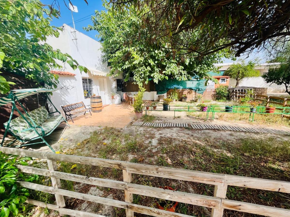אליקאנטה Estudio Adosado Con Jardin Y Parking Privado מראה חיצוני תמונה